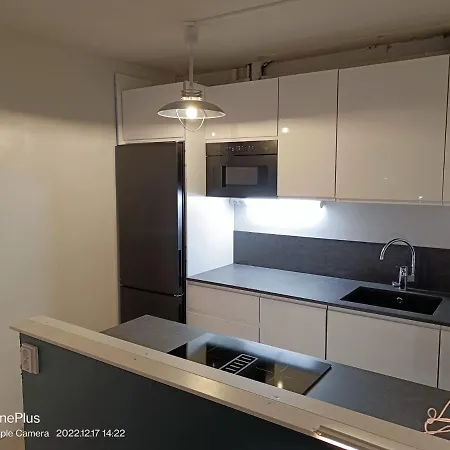 Renovated City-center Διαμέρισμα Ροβανιέμι